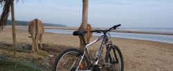 mountain-bike-kratie-cambodia